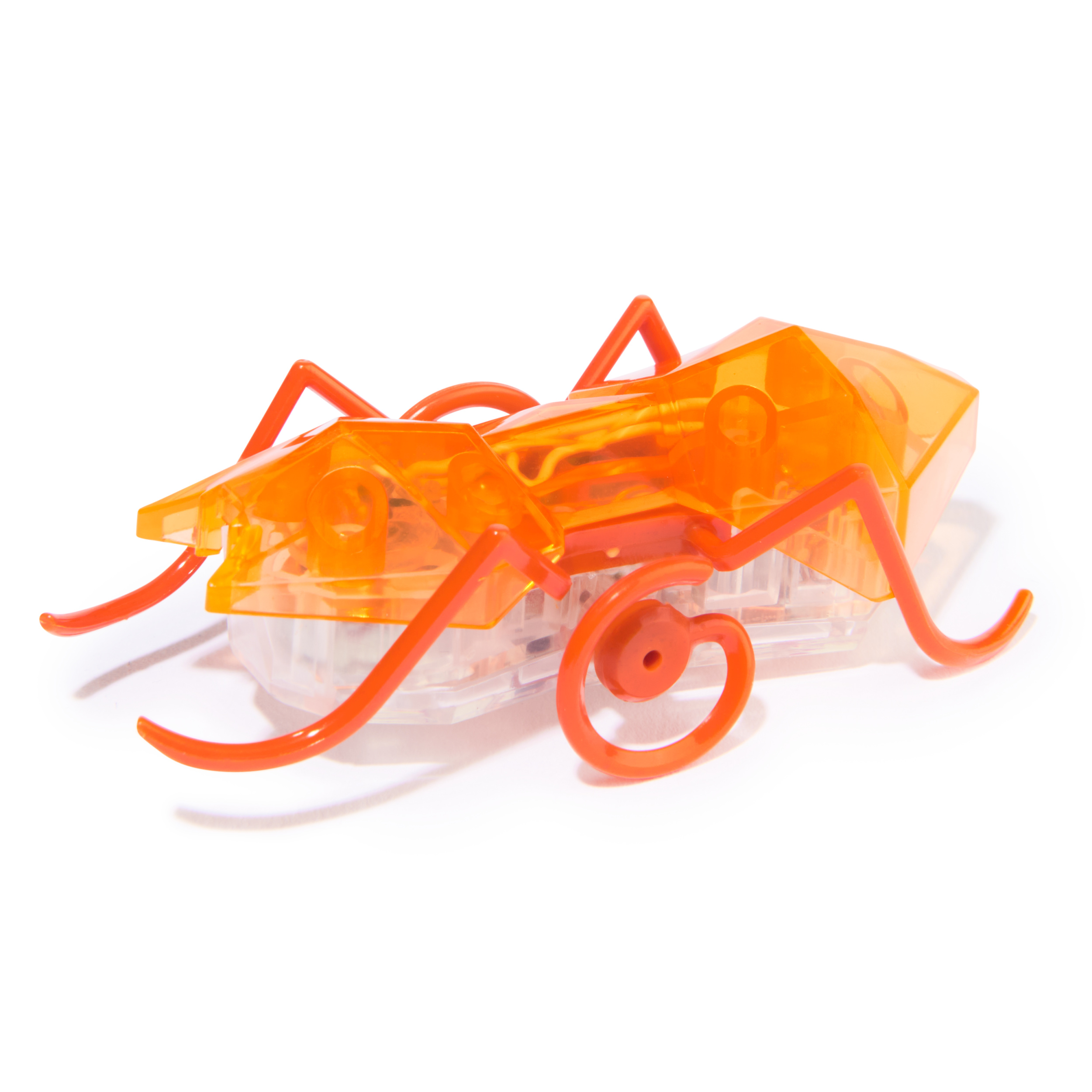 HEX BOTS Robotic Micro Ant, Autonomous Mechanic Insect Toys for Kids ...