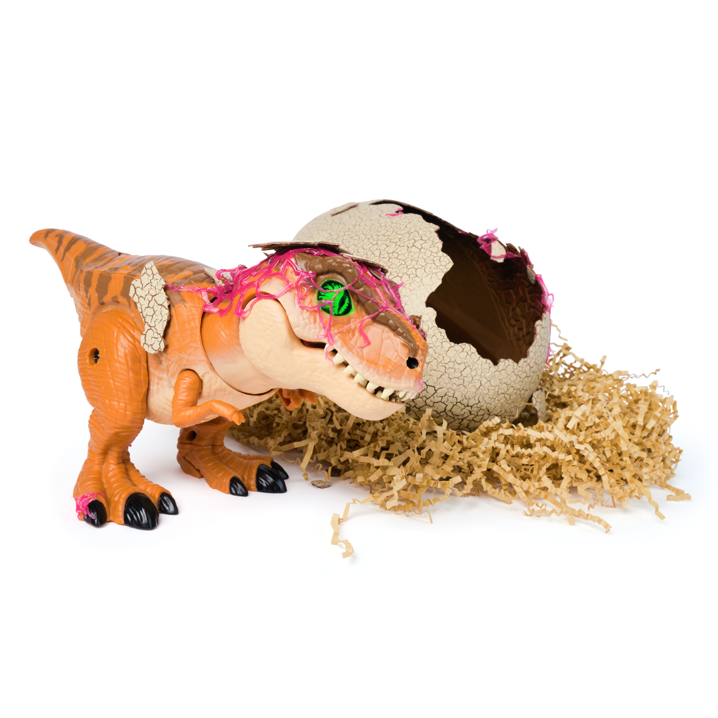 hatch and play dino