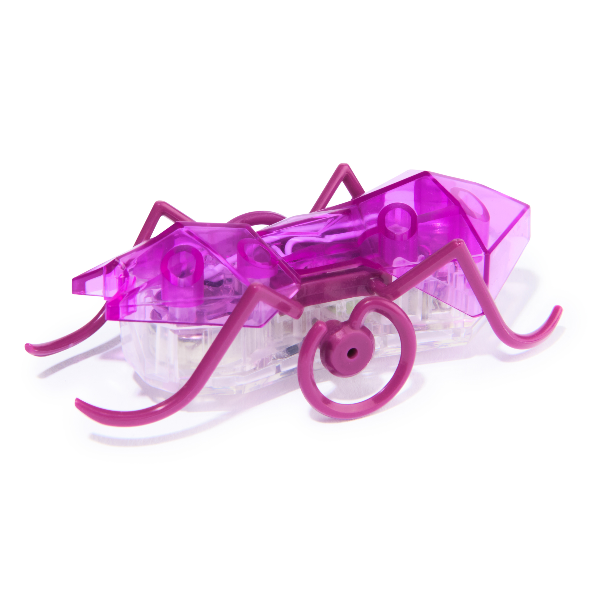 HEX BOTS Robotic Micro Ant, Autonomous Mechanic Insect Toys for Kids ...